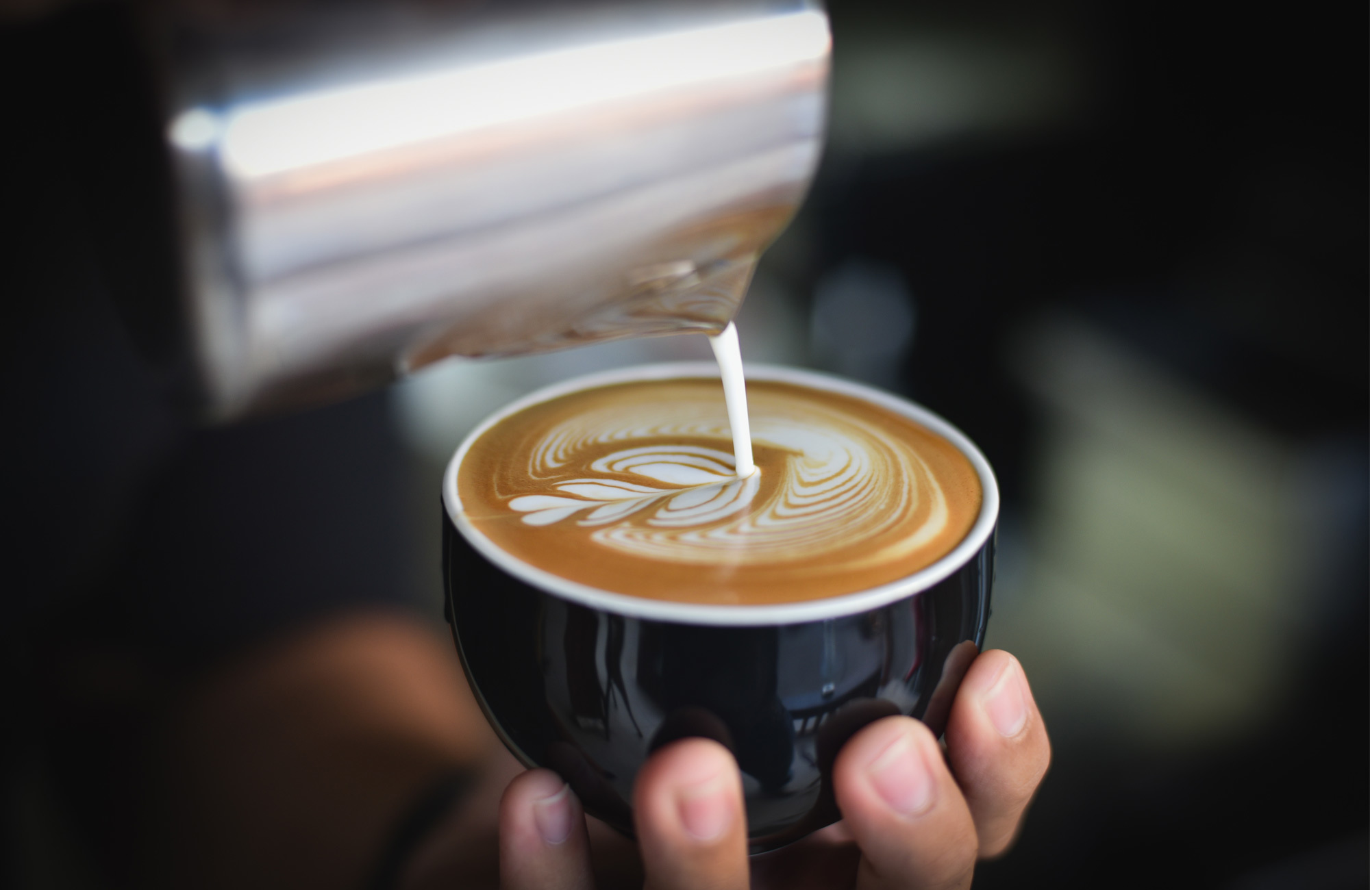 The Barista Academy